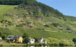 Malmotive entdekcen in der herrlichen Mosellandschaft. Foto: ney